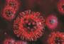 آیا ویروس کرونا  از طریق سطوح منتقل می‌شود؟