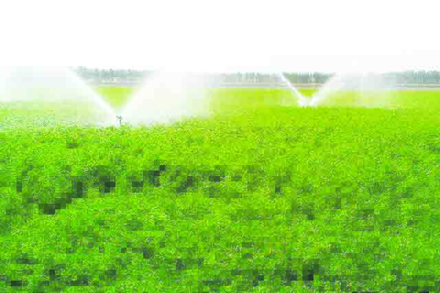 کارشناس مدیریت منابع آب: در جنوب کشور بحث کانون‌های داخلی تولید ریزگرد مطرح است