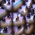 des: مراسم شهادت حضرت شاهچراغ(ع) در شیراز/ عکس: میلاد پناهی