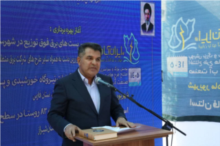 تأکید وزیر نیرو بر توان داخلی صنعت برق