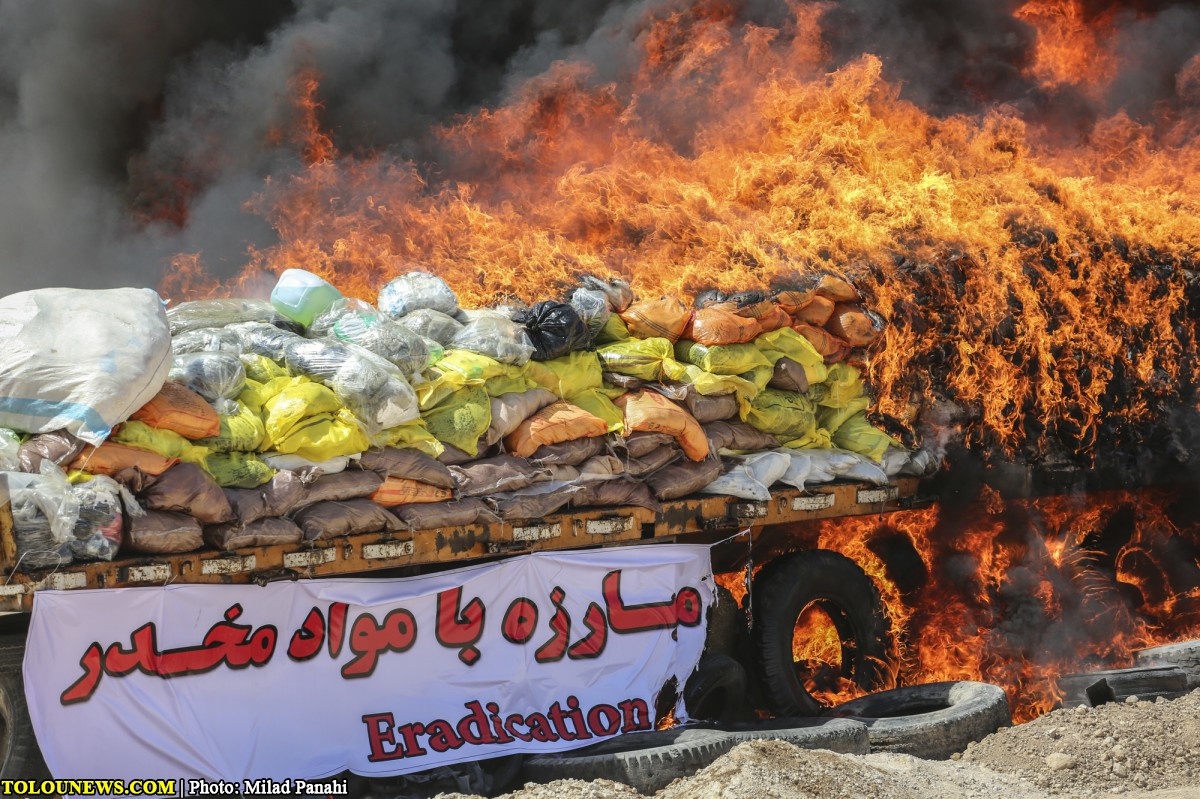 امحای بیش از 45 تن مواد مخدر غیردارویی در شیراز/ عکس: میلاد پناهی