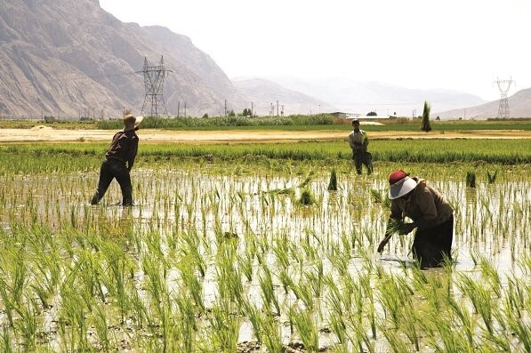 فارس با بحران ۱۰۰ درصدی آب مواجه است