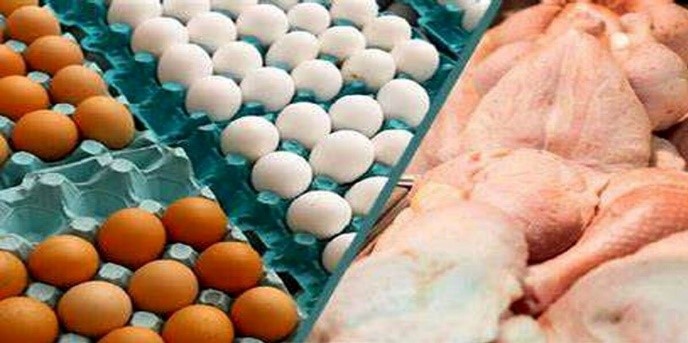مرغ کیلویی ۷۳ هزار تومان؛ تخم‌مرغ شانه‌ای ۱۰۰ هزار تومان