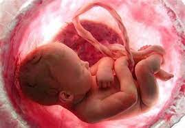 سالانه ۵۰۰ هزار جنین در کشور سقط می‌شوند
