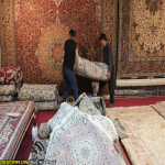 des: چهاردهمین نمایشگاه فرش دستباف در شیراز/ عکس: میلاد پناهی