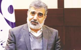 ایران تنها غنی‌سازِ  بدون سلاح هسته‌ای نیست