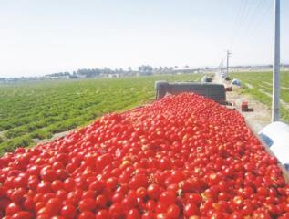 وضعیت نگران کننده فرسایش خاک در کشور