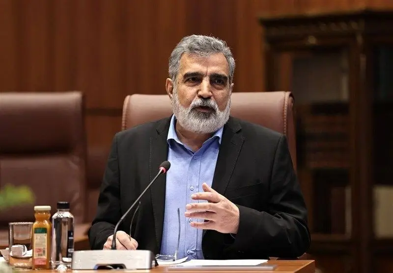 تمرکز ما بر همکاری هسته‌ای  با روسیه است